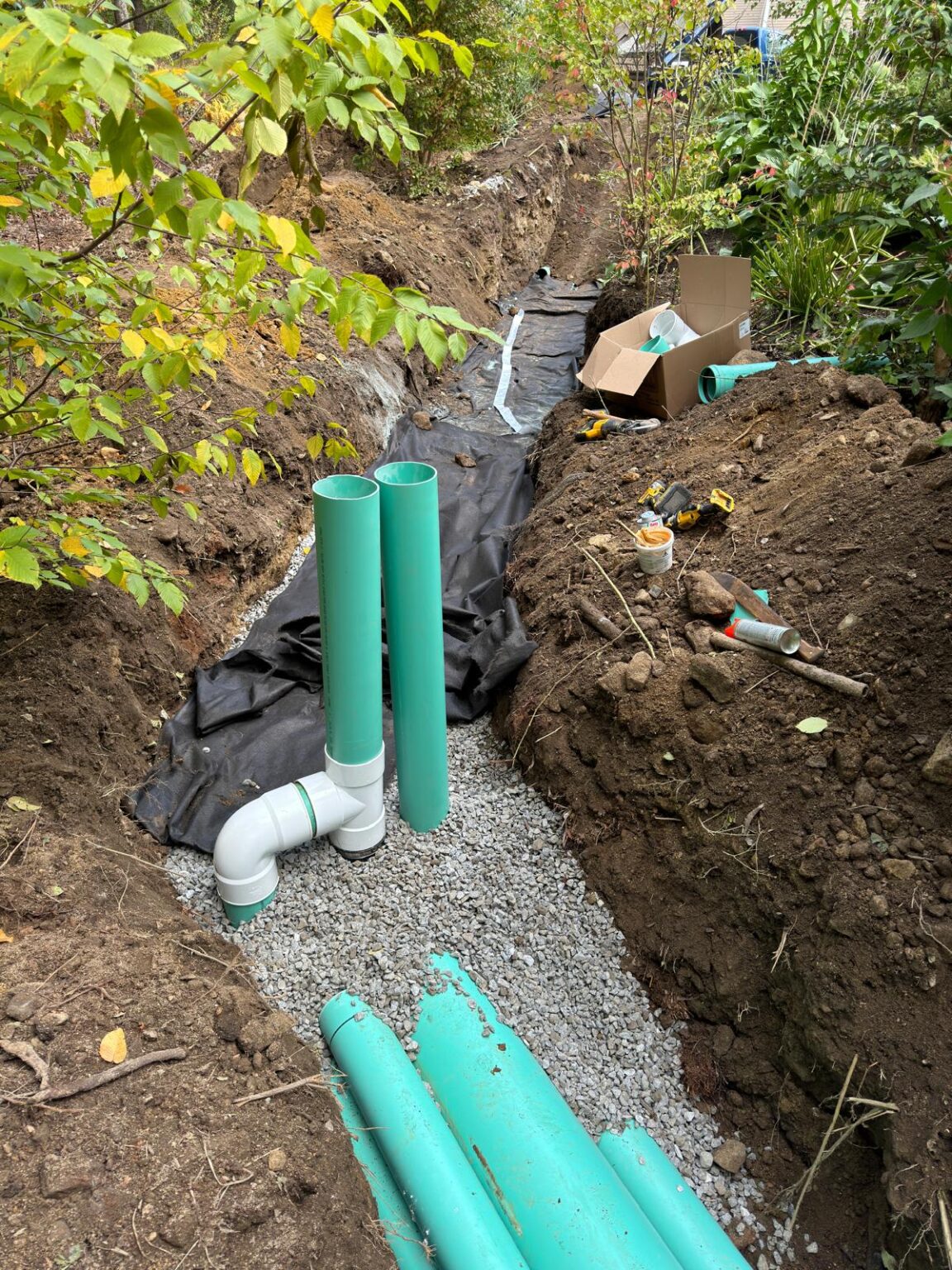 drain6
