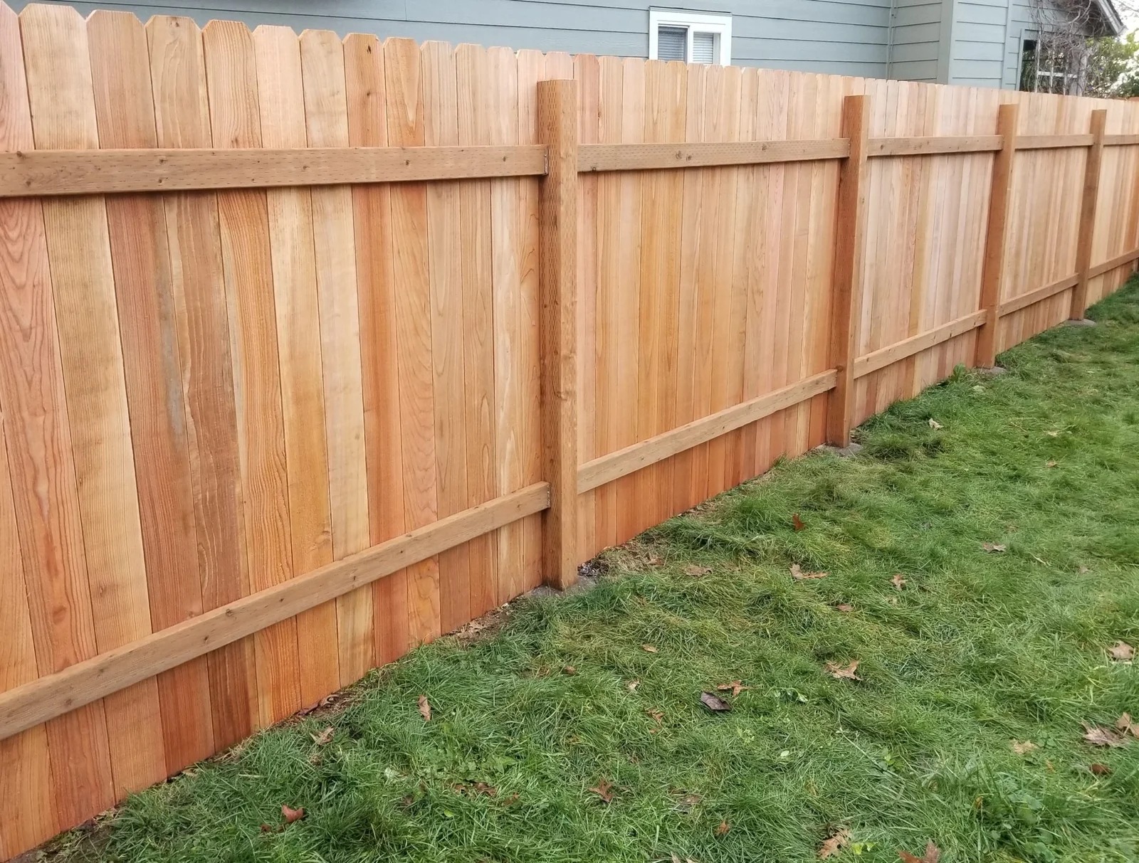 fences1